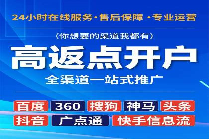 竞价广告的深度解析：以一知名品牌为例